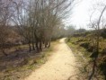/album/fotogaleria-entre-dos-penas/sendero-entredospenas-3-jpg2/